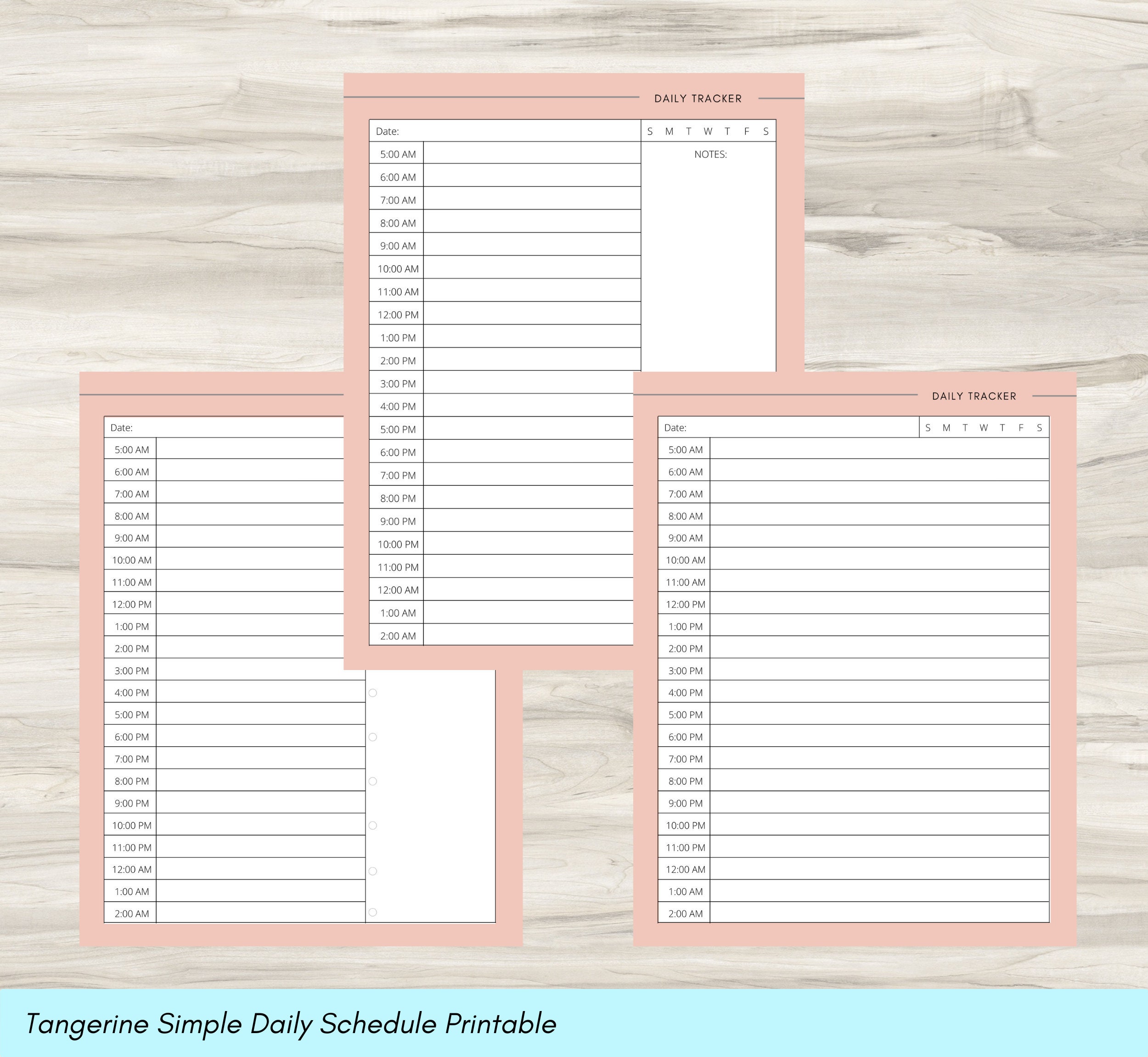 Daily Agenda Template Hour Weekly Schedule Daily Schedule | Etsy