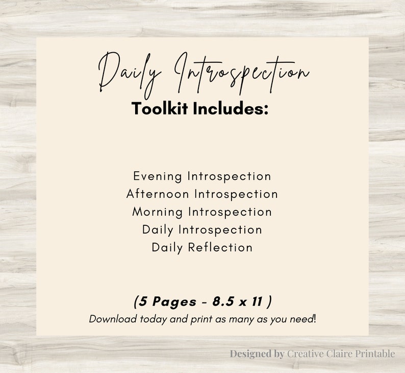 Daily Introspection Journal: Morning, Afternoon, Evening Reflections ...