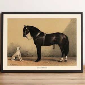 White Dog and Black Horse Vintage Illustration Fine Art Print, Animal Vintage Wall Art, Antique Museum Quality Poster