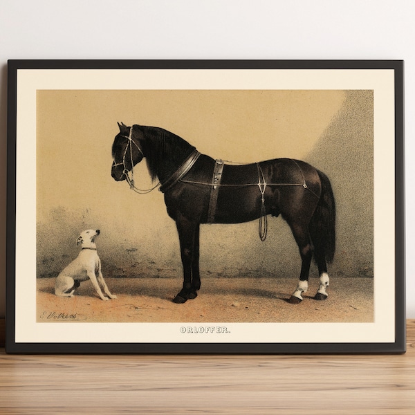 White Dog and Black Horse Vintage Illustration Fine Art Print, Animal Vintage Wall Art, Antique Museum Quality Poster