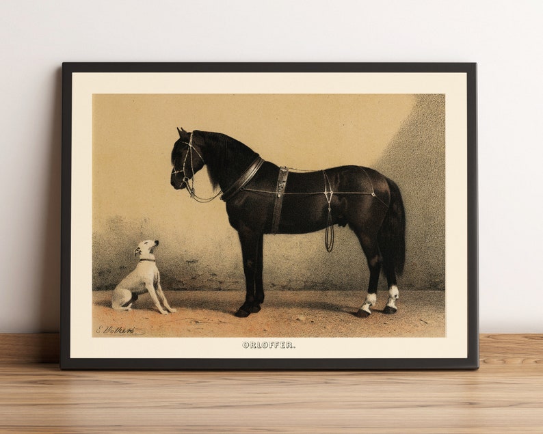 Horse and Dogs in Copper and Black Frame main image 0