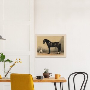White Dog and Black Horse Vintage Illustration Fine Art Print - Etsy