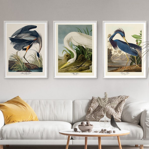 Audubon Print Set Bird Lover Gift Blue Louisiana White Heron Poster Vintage Retro Wall Art Antique Printable Home Decor Digital Download