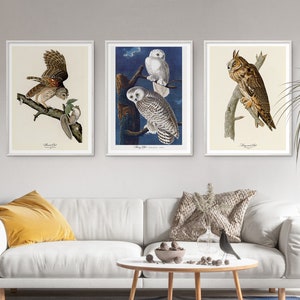 Audubon Print Set Bird Lover Gift Snowy Barred Long eared Owl Poster Vintage Retro Wall Art Antique Printable Home Decor Digital Download