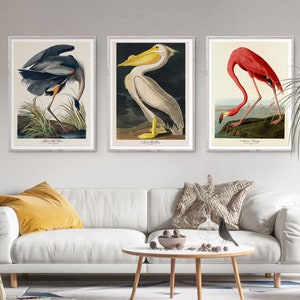 Conjunto de 3 impresiones de arte mural de la galería John Audubon, póster de flamenco con estampado de aves, exposición de museo, decoración vintage imprimible para el hogar, descarga digital instantánea