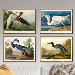 John Audubon Gallery Wall Art Set of 4 Print Bird Heron Poster Retro Antique Nature Printable Vintage Home Decor Instant Digital Download