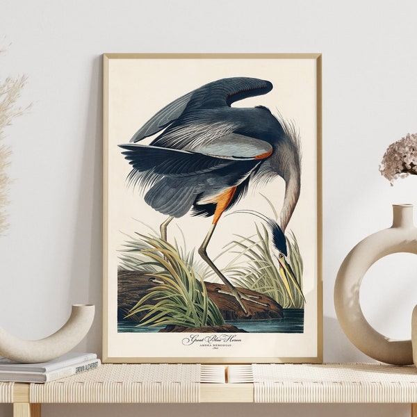 John Audubon Bird Print Retro American Great Blue Heron Gallery Wall Art Poster Museum Exhibition Printable Home Decor Digital Download