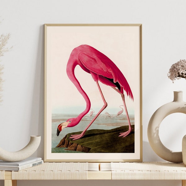 John Audubon Bird Print Retro Pink American Flamingo Gallery Wall Art Poster Museum Exhibition Printable Home Decor Instant Digital Download