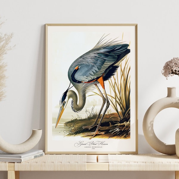 Audubon Print Sea Bird Lover Gift Great Blue Heron Poster Vintage Nature Retro Botanical Wall Art Bird Printable Home Decor Audubon Bird