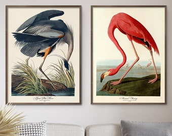 Audubon Bird Print Set Retro American Great Blue Heron Pink Flamingo Gallery Wall Art Museum Printable Poster Home Decor Digital Download