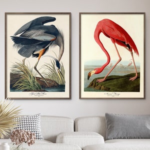 Audubon Bird Print Set Retro American Great Blue Heron Pink Flamingo Gallery Wall Art Museum Printable Poster Home Decor Digital Download