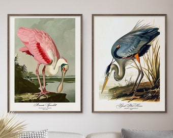 Audubon Style Bird Print Set, Roseate Spoonbill & Heron (Digital Download)