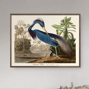 John Audubon Bird Print Retro Louisiana Heron Gallery Wall Art Poster Museum Exhibition Printable Nature Home Decor Instant Digital Download