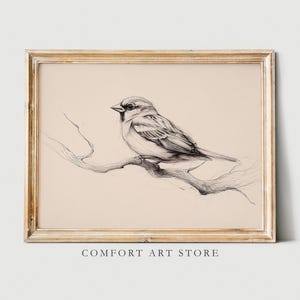 Vintage Bird Print Sparrow Bird Print Spring Bird Pencil Sketch Rustic Farmhouse Decor Dry Branch Line Drawing Vintage Printable Wall Art