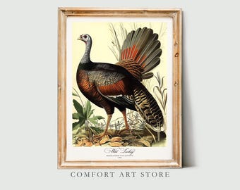 Audubon Style Bird Print. Wild Turkey Poster Bird of America Bird Lover Gift Vintage Audubon Retro Wall Art Wild Turkey Printable Home Decor