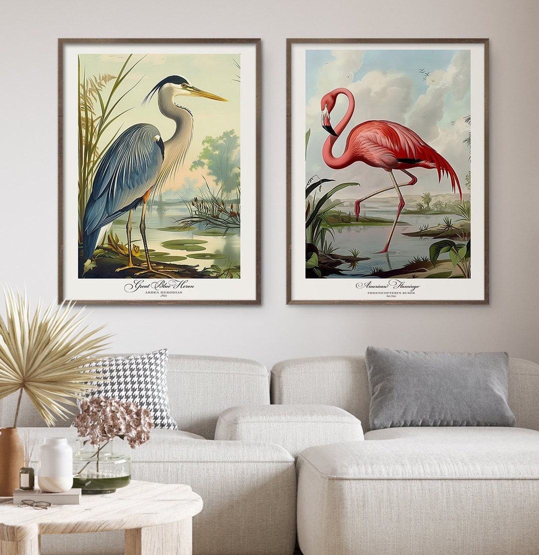 Audubon Style Bird Print Set. Bird Lover Gift American Flamingo Great ...