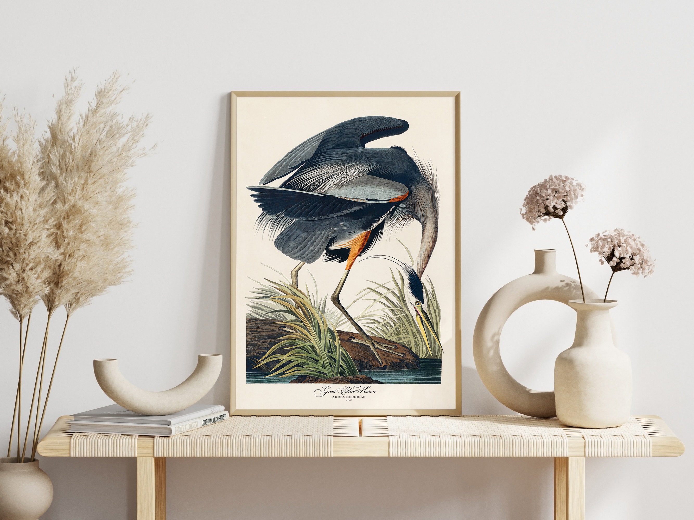 John Audubon Gallery Wall Art Set of 3 Bird Print Flamingo Poster ...