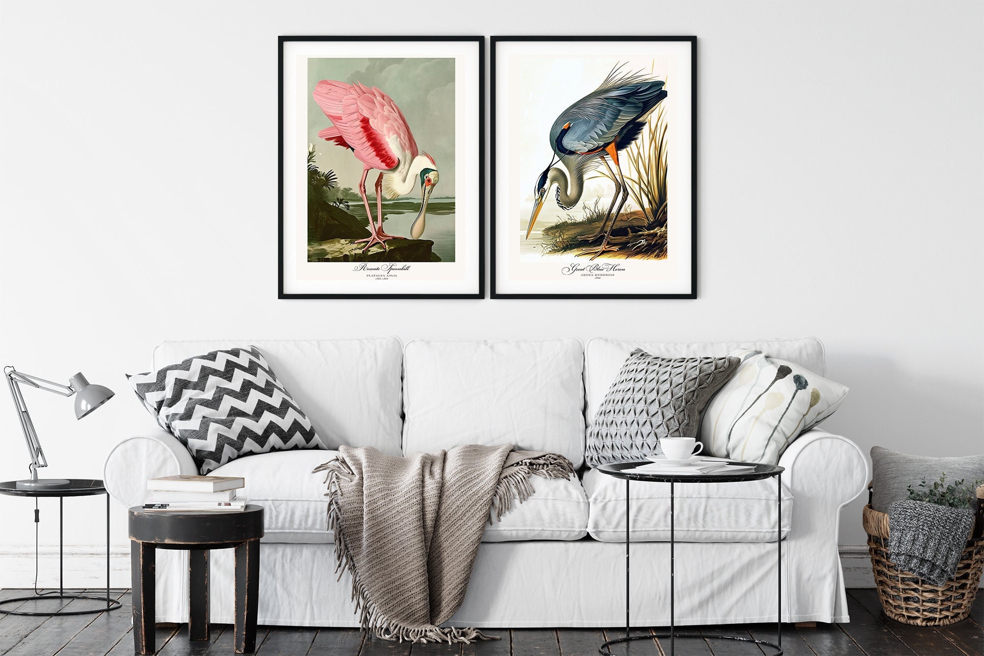 Audubon Style Bird Print Set, Roseate Spoonbill & Heron (digital ...