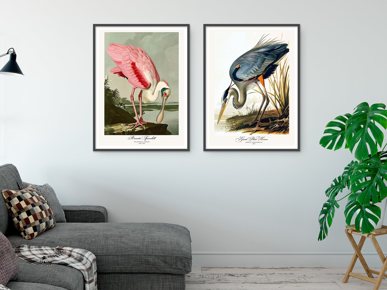 Audubon Style Bird Print Set, Roseate Spoonbill & Heron (digital ...