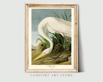 John James Audubon Bird Print White Heron Vintage Poster Retro Gallery Wall Art Nature Antique Printable Home Decor Instant Digital Download