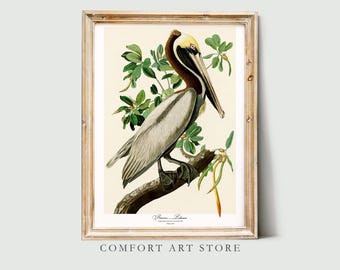 John Audubon Bird Print Brown Pelican Vintage Poster Retro Gallery Wall Art Nature Antique Printable Home Decor Museum Digital Download