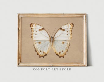 Impresión de mariposa vintage, pintura de mariposa Morpho Peleides antigua, insecto melancólico, arte de pared rústico imprimible, decoración digital, arte de impresión de granja