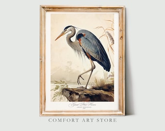 John Audubon Print