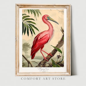 Audubon Stil Vogel Druck Vogel Liebhaber Geschenk Hooping Kranich Poster Vintage Natur Retro botanische Wand Kunst druckbare Wohnkultur digitaler Download