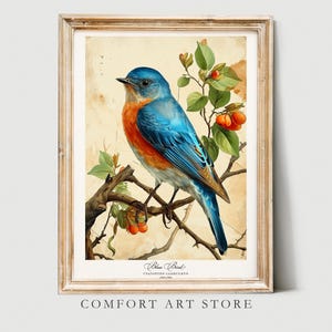 Póster de pájaro azul de primavera con estampado de estilo Audubon, regalo para amantes, arte de pared botánico retro de naturaleza vintage, decoración del hogar imprimible, descarga digital