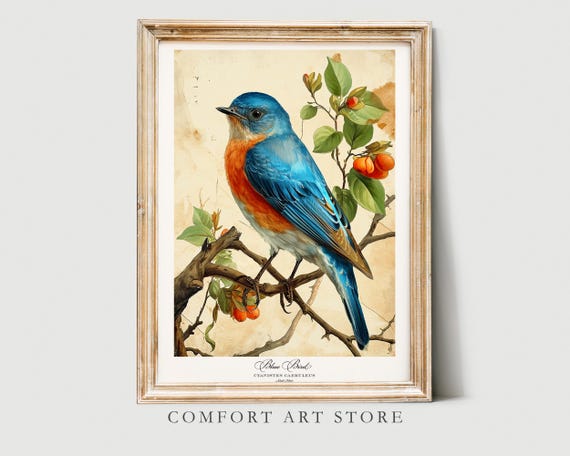 Audubon Style Bird Print Spring Blue Bird Poster Lover Gift