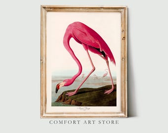 John Audubon Bird Print Retro Pink American Flamingo Gallery Wall Art Poster Museum Exhibition Printable Home Decor Instant Digital Download