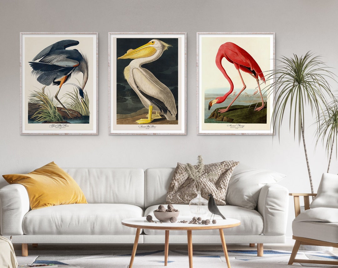 John Audubon Gallery Wall Art Set of 3 Bird Print Flamingo Poster