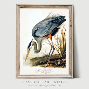 Audubon Style Bird Print Sea Bird Lover Gift Great Blue Heron Poster Vintage Nature Retro Botanical Wall Art Bird Printable Bird Home Decor