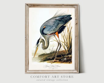Audubon Style Bird Print Sea Bird Lover Gift Great Blue Heron Poster Vintage Nature Retro Botanical Wall Art Bird Printable Bird Home Decor