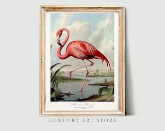 Audubon Style Bird Print American Flamingo Poster Bird America Lover Gift Vintage Nature Retro Wall Art Flamingo Bird Printable Home Decor