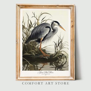 Audubon Style Bird Print. Great Blue Heron Poster. Bird of America Lover Gift Vintage Audubon Retro Wall Art Blue Heron Printable Home Decor