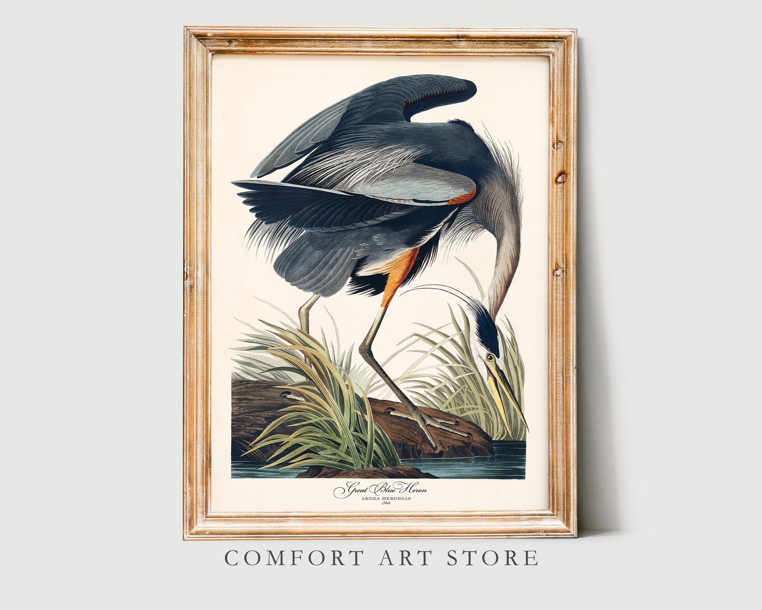 オーデュボン鳥プリント - Etsy 日本