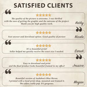 Puede incluir: Cinco rese&ntilde;as de clientes con cinco estrellas para un producto de descarga digital. Cada rese&ntilde;a incluye una cita del cliente y su nombre. Las citas destacan la calidad del producto, la facilidad de uso y el servicio al cliente.