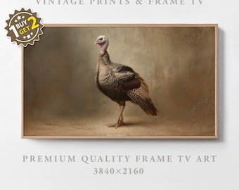 Vintage Frame TV Art