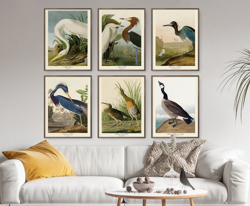 John Audubon Print Set of 6 Gallery Wall Art Bird Goose Heron Hen ...