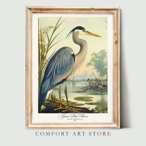 Póster de garza azul con estampado de aves de estilo Audubon, regalo para amantes de las aves de América, arte de pared retro de naturaleza vintage, garza imprimible, decoración del hogar