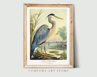 Audubon Style Bird Print Great Blue Heron Poster Bird of America Lover Gift Vintage Nature Retro Wall Art Bird Heron Printable Home Decor