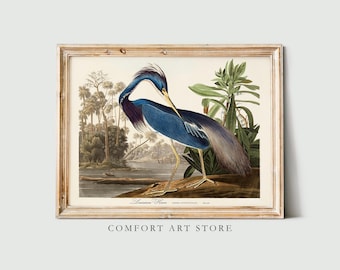 John Audubon Bird Print Retro Louisiana Heron Gallery Wall Art Poster Museum Exhibition Printable Nature Home Decor Instant Digital Download