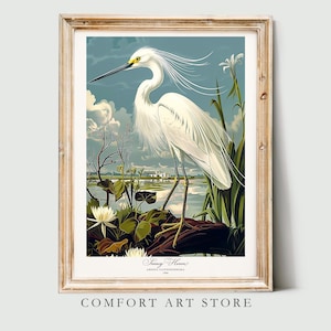 Impresión de aves estilo Audubon. Póster de garza blanca. Regalo para amantes de las aves de América. Arte mural retro de naturaleza vintage. Garza blanca imprimible. Decoración del hogar
