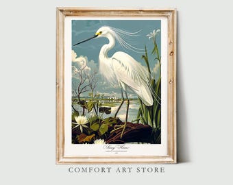 Audubon Style Bird Print. Snowy Heron Poster. Bird of America Lover Gift. Vintage Nature Retro Wall Art. White Egret Printable. Home Decor