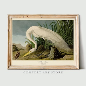 John James Audubon Bird Print White Heron Vintage Poster Retro Gallery Wall Art Nature Antique Printable Home Decor Instant Digital Download