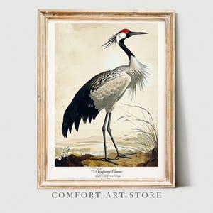 Audubon Stil Vogel Druck Vogel Liebhaber Geschenk Hooping Kranich Poster Vintage Natur Retro botanische Wand Kunst druckbare Wohnkultur digitaler Download