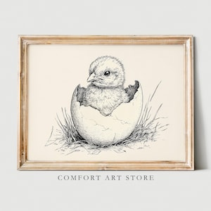 May include: Black and white line drawing of a baby chick hatching from an egg. The chick is peeking out of the egg shell with its head and wings visible. The chick is surrounded by grass.