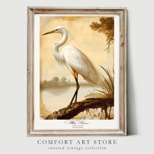 Audubon Style Bird Print Bird Lover Gift White Heron Poster Vintage Nature Retro Botanical Wall Art Printable Home Decor Digital Download