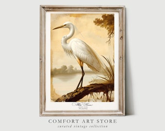 Audubon Style Bird Print Bird Lover Gift White Heron Poster Vintage Nature Retro Botanical Wall Art Printable Home Decor Digital Download